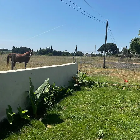 Apartmán Le 255-cote Jardin